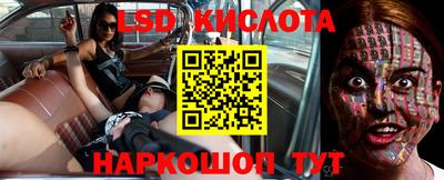 индика Новокубанск