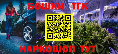 индика Новокубанск