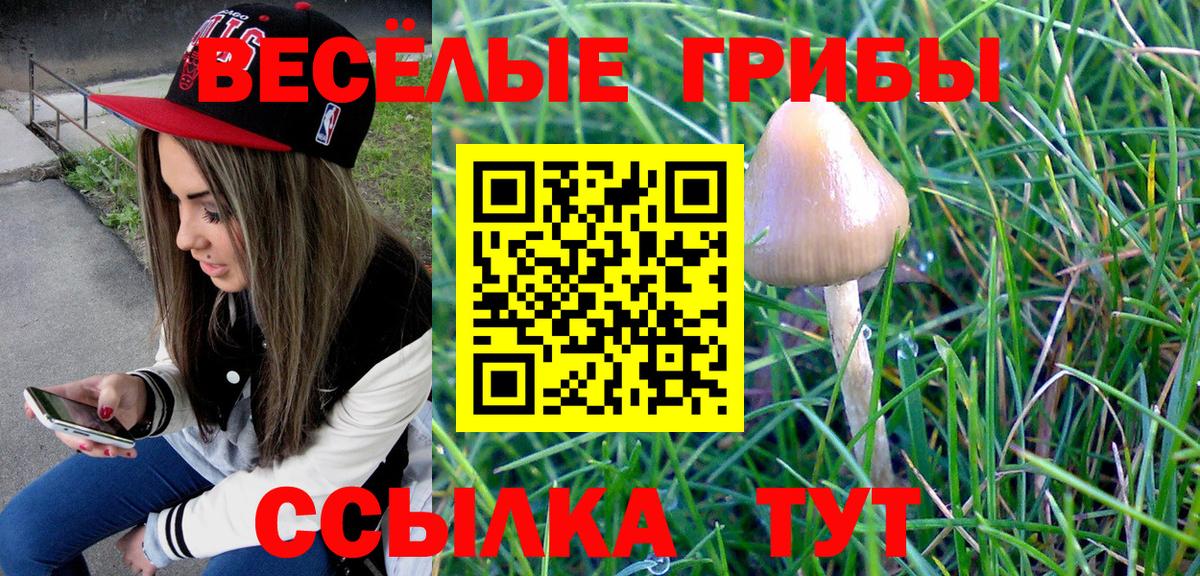 Галлюциногенные грибы прущие грибы Сургут